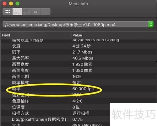 视频帧率,揭秘视频帧率背后的奥秘